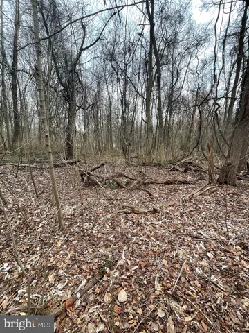 a view of a dry yard with trees