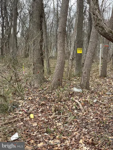 a view of a backyard of the house
