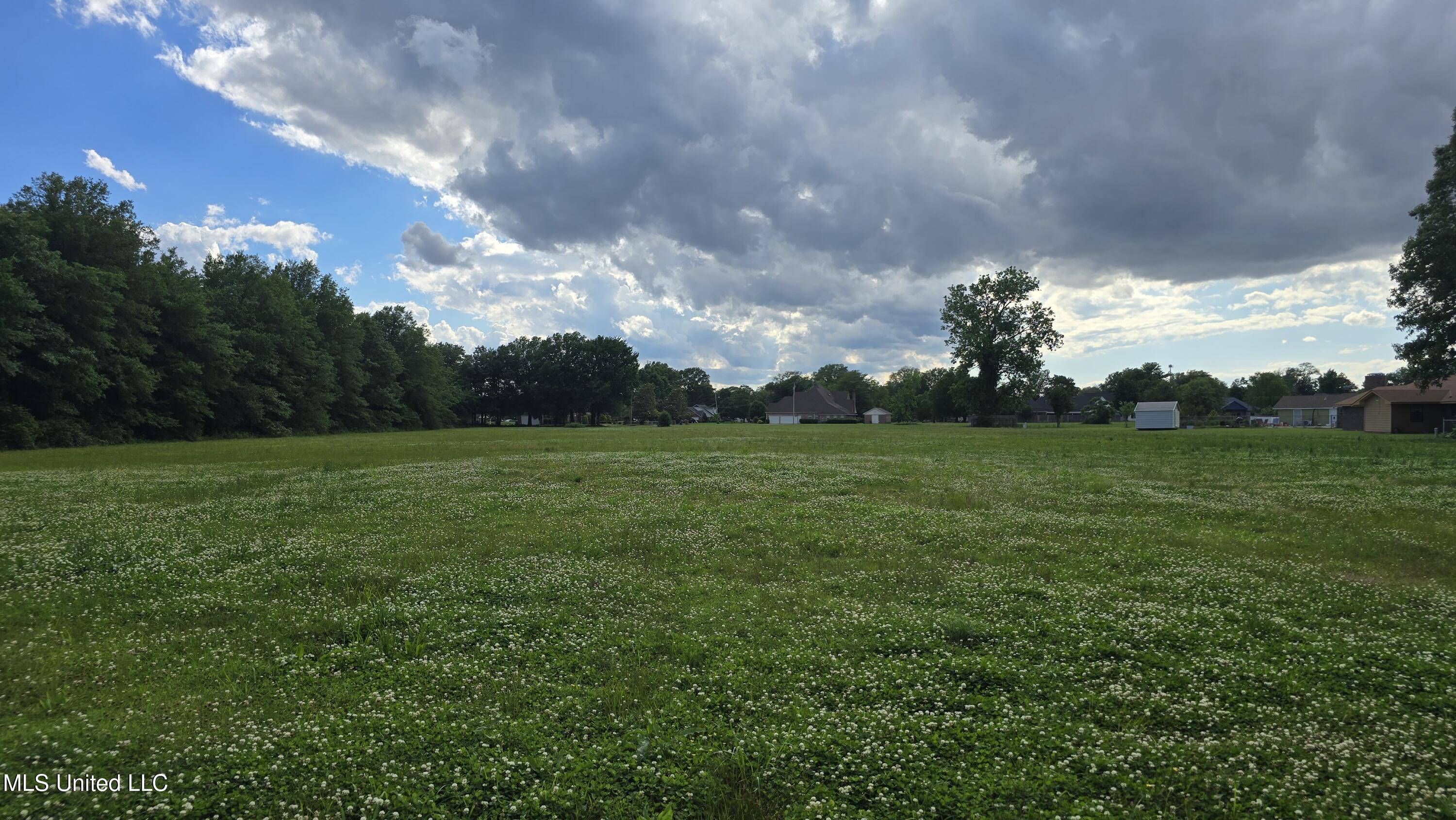 South Street Cleveland, MS 38732 - Photo 6 of 10 20250508_164413