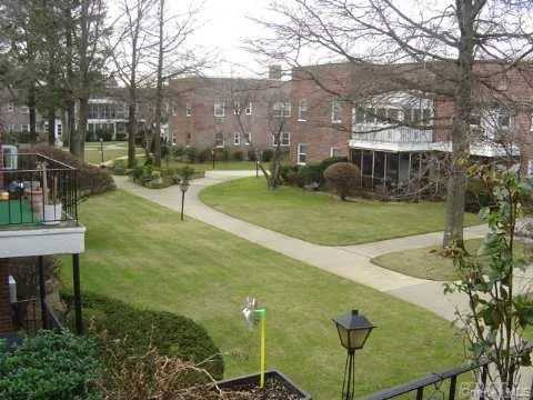 a view of a park with large trees