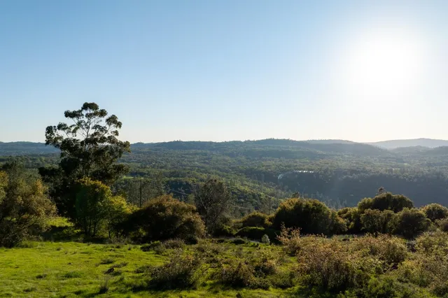 a view of a lake with a mountain in the background