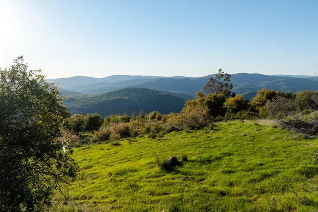 a view of a lush green hillside and a houses