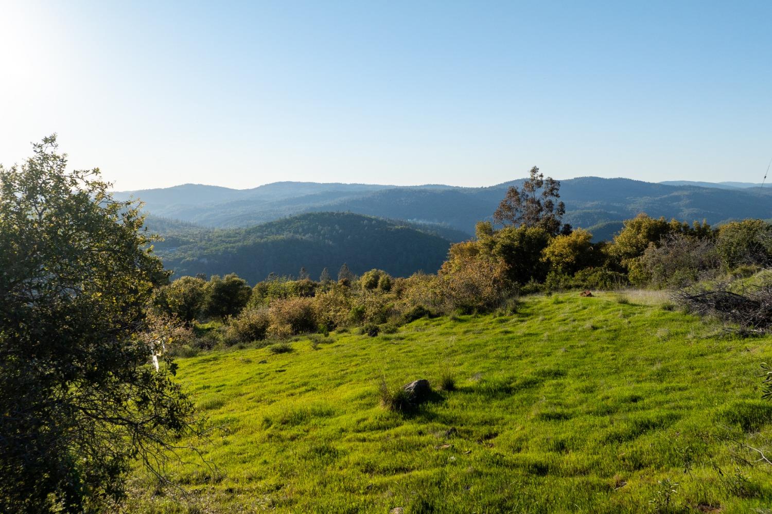 18678 Kentucky Ravine Road Nevada City, CA 95959 - Photo 2 of 11 a view of a lush green hillside and a houses