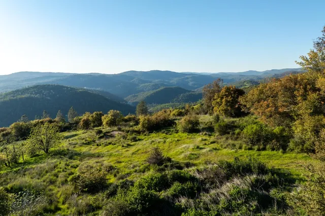 a view of a mountain with a garden