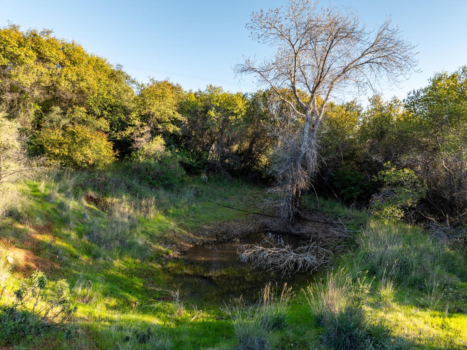 18678 Kentucky Ravine Road Nevada City, CA 95959 - Photo 4 of 11 a view of a lake with green space