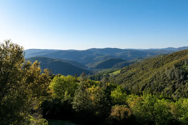 a view of a lush green forest with mountains in the background