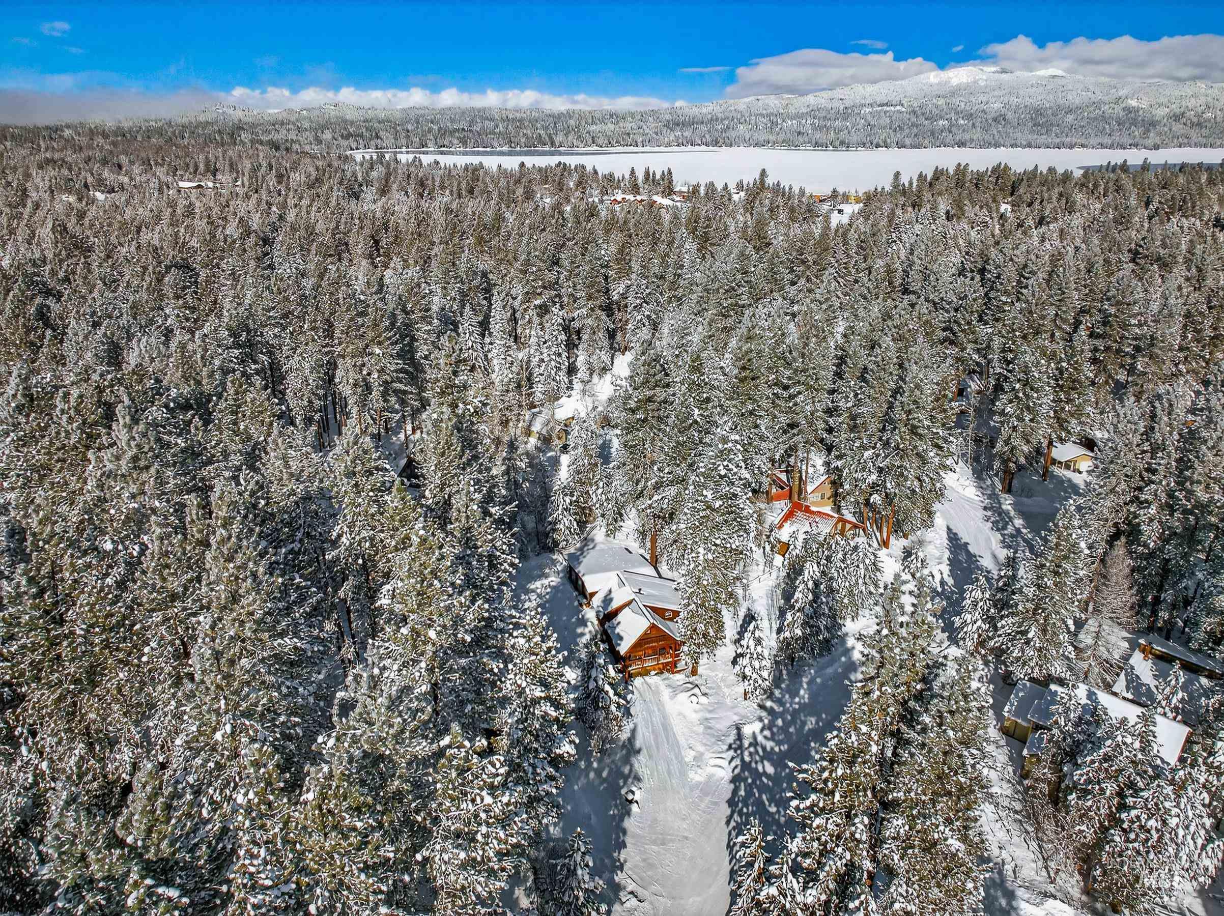 441 Allen Avenue McCall, ID 83638 - Photo 2 of 46 Aerial view of a forest