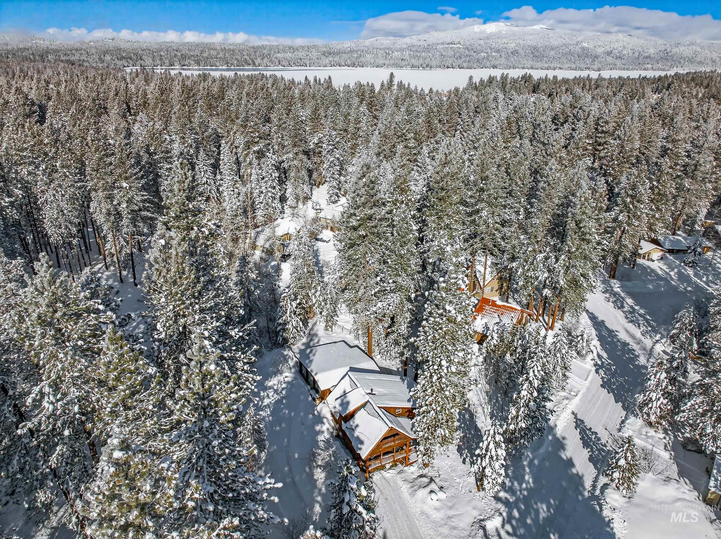 441 Allen Avenue McCall, ID 83638 - Photo 3 of 46 Snowy aerial view with a view of trees