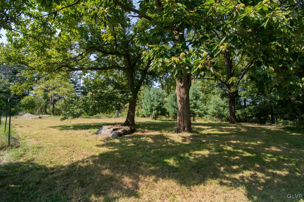 1470 Benner School Road Quakertown, PA 18951 - Photo 37 of 47 a view of a tree with a yard
