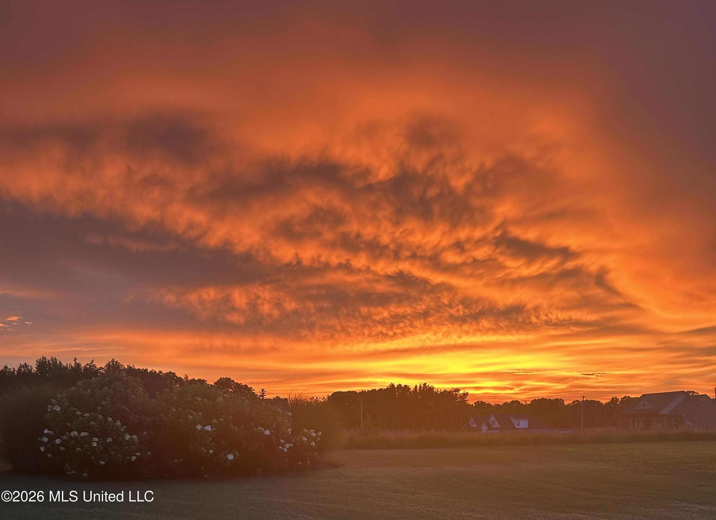 39 Winter Oaks Lamar, MS 38642 - Photo 50 of 53 sunset