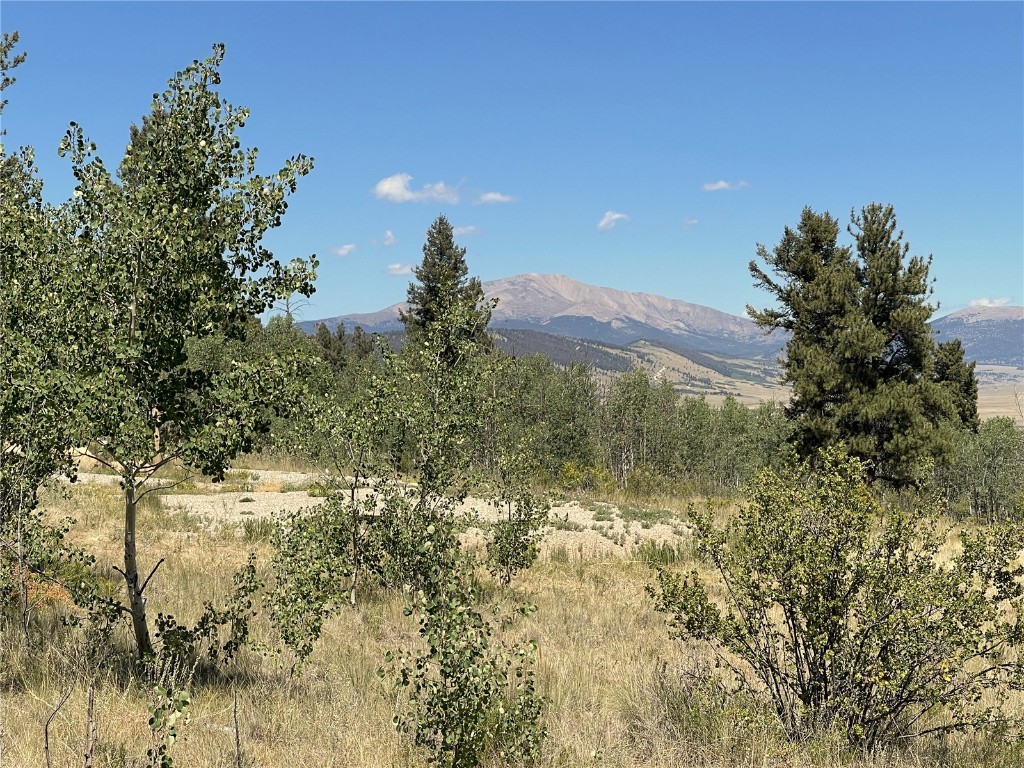 1178 Redhill Road Fairplay, CO 80440 - Photo 1 of 31 Gallery Image 1