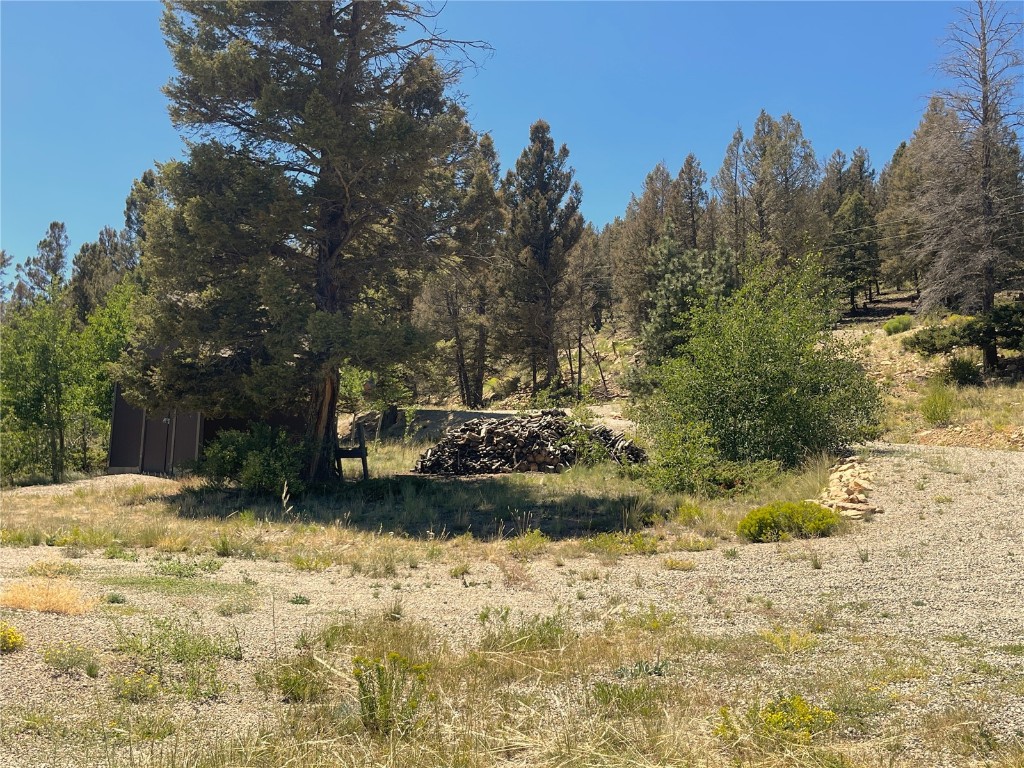 1178 Redhill Road Fairplay, CO 80440 - Photo 24 of 31 Gallery Image 24