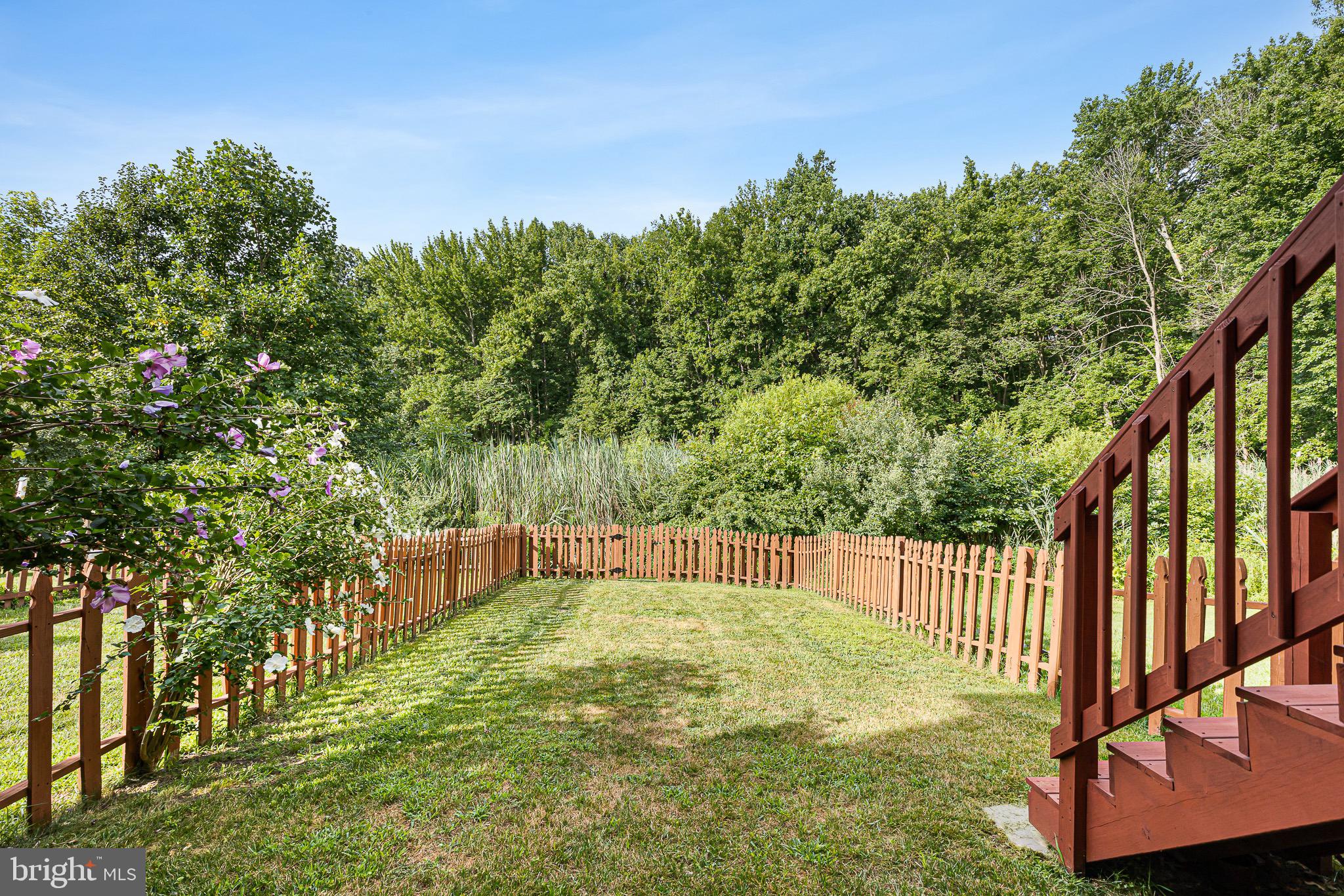 32 Ballina Boulevard Bear, DE 19701 - Photo 6 of 25 a view of swimming pool with a back yard