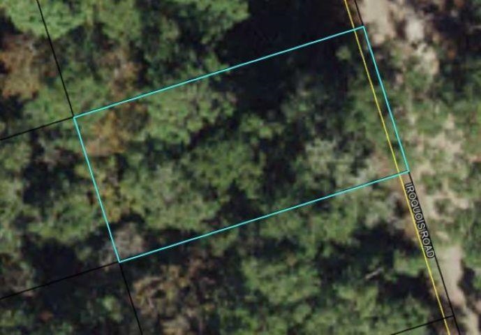 Xx Iroquois Road Crawfordville, FL 32327 - Photo 10 of 14
