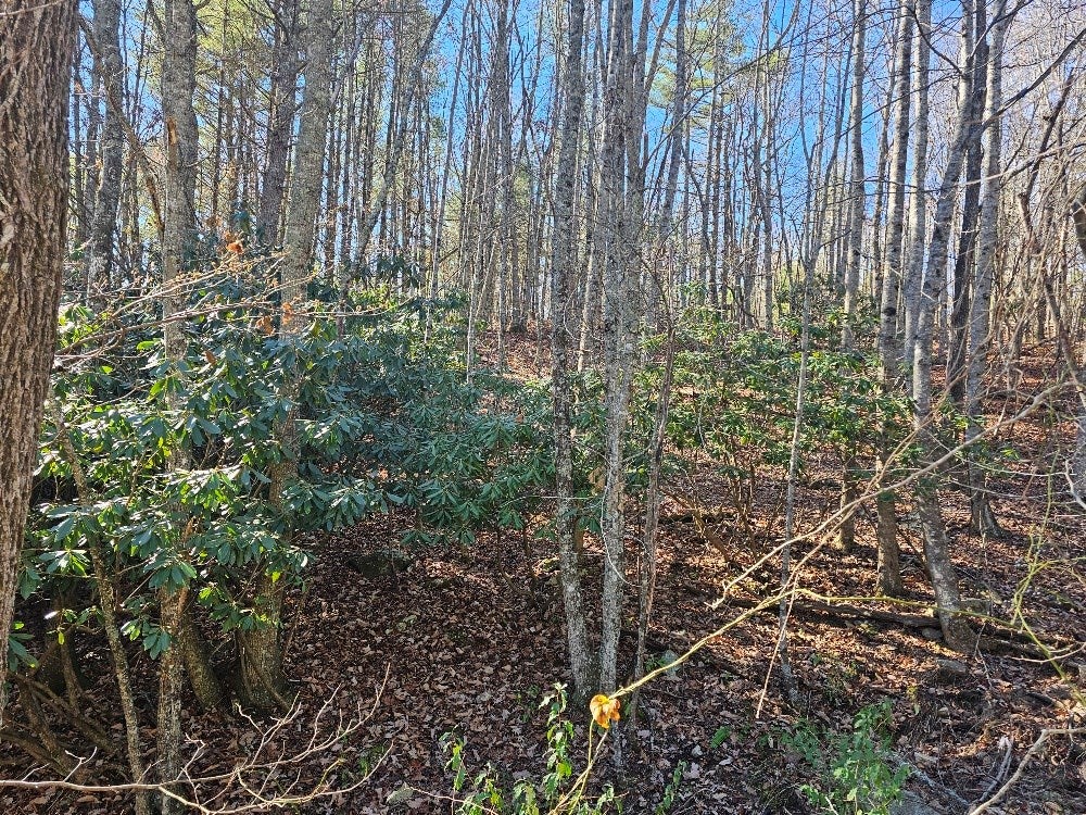 1801 Fulton Road Independence, VA 24348 - Photo 12 of 13 Gallery Image 12
