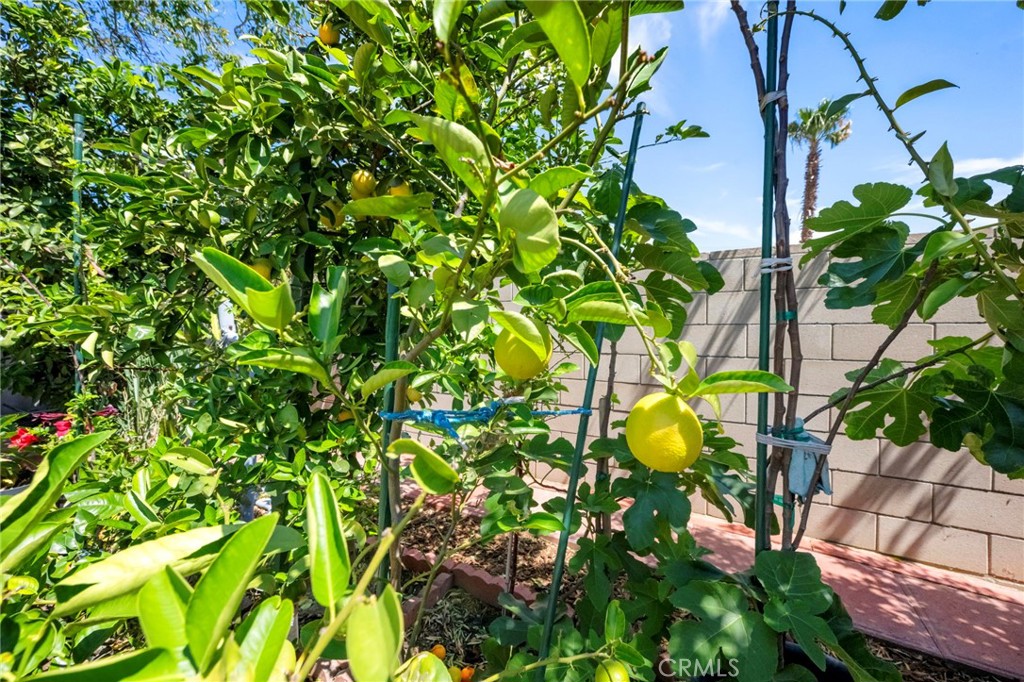 15070 Spring Street Fontana, CA 92335 - Photo 39 of 55