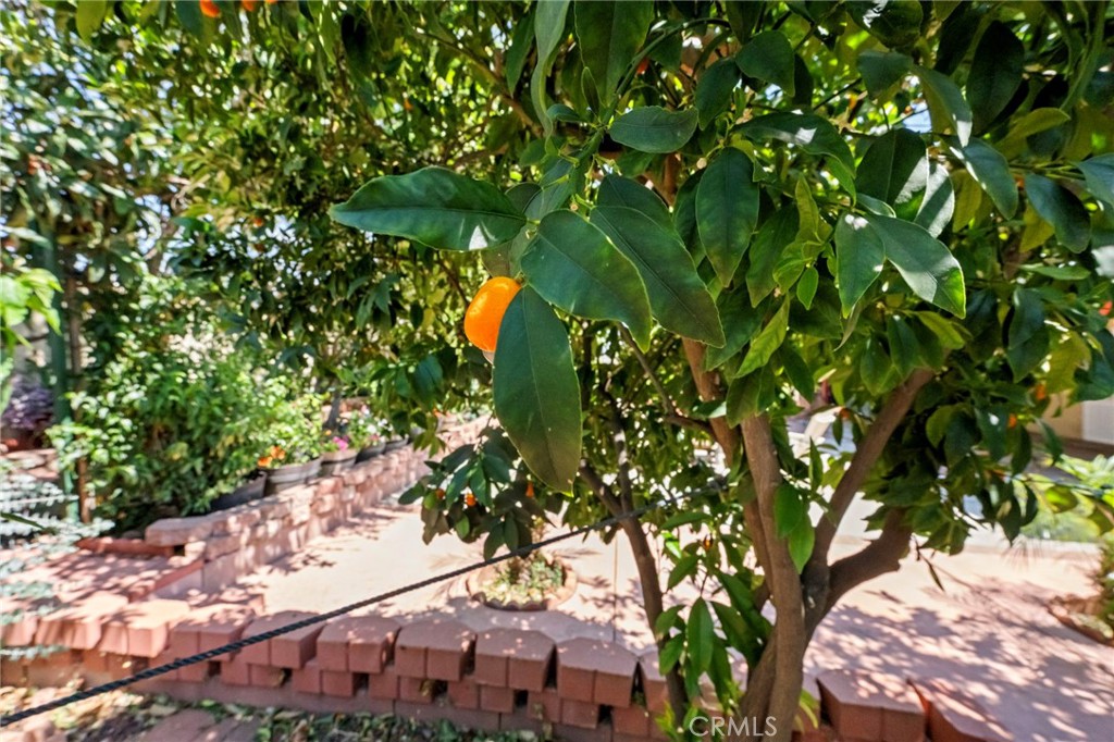 15070 Spring Street Fontana, CA 92335 - Photo 45 of 55