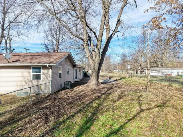 a dirt road with large trees