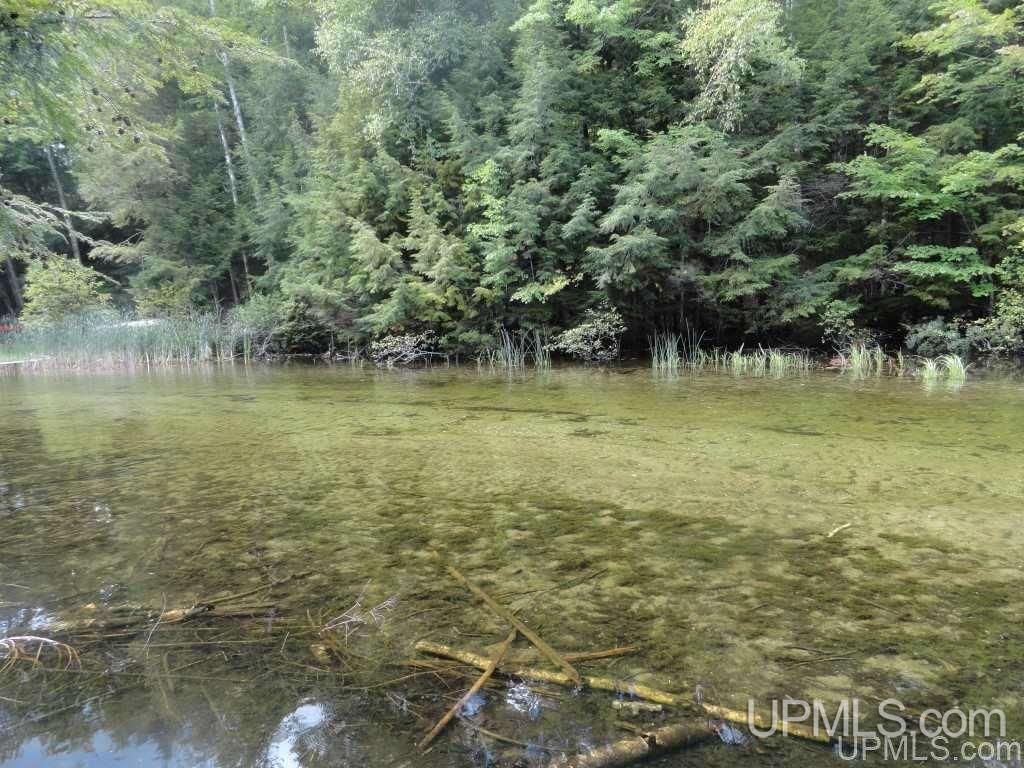 5799 N Camel Rider Road Wetmore, MI 49895 - Photo 23 of 28