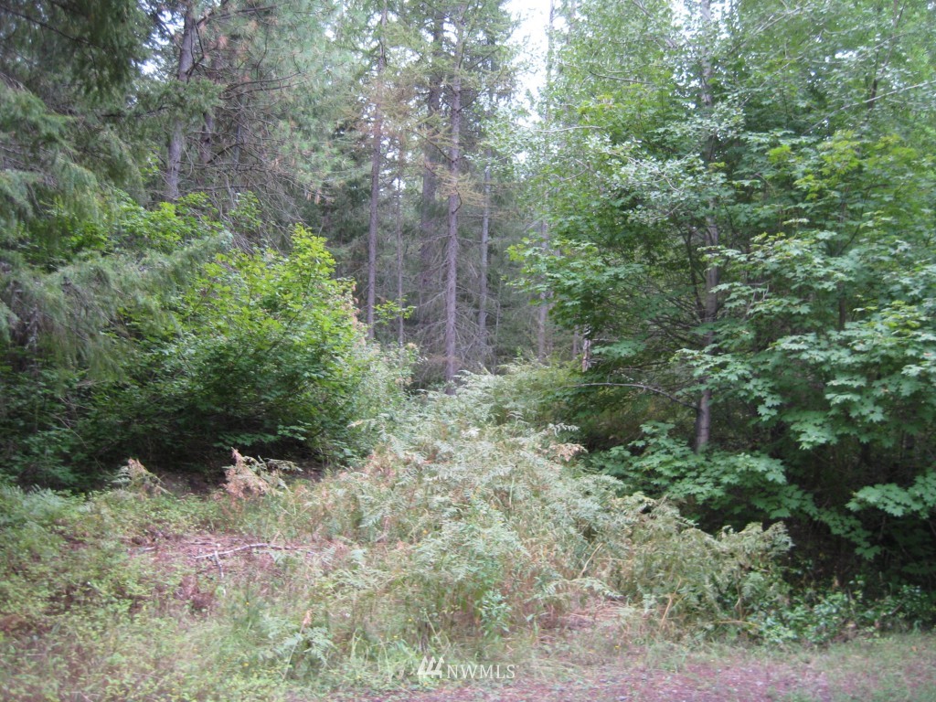 361 Tree Haven Road Cle Elum, WA 98922 - Photo 14 of 17 Gallery Image 14