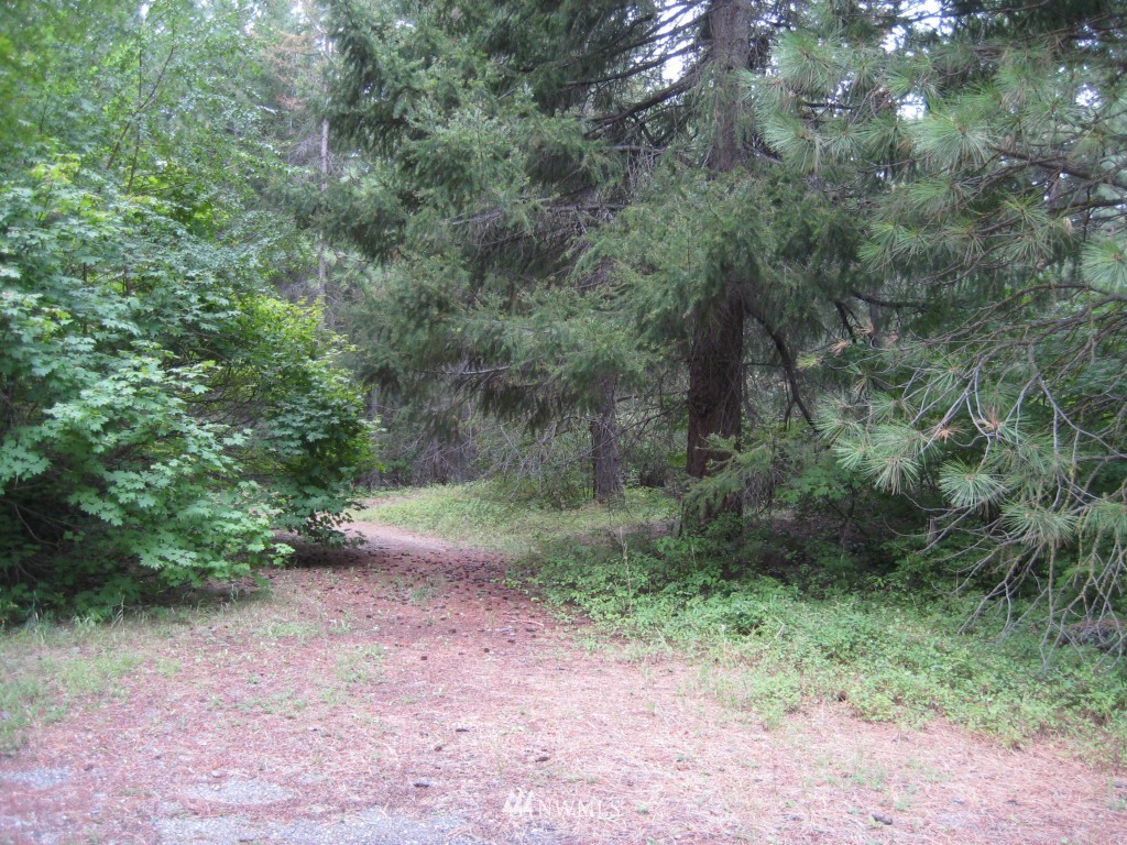 361 Tree Haven Road Cle Elum, WA 98922 - Photo 15 of 17 Gallery Image 15
