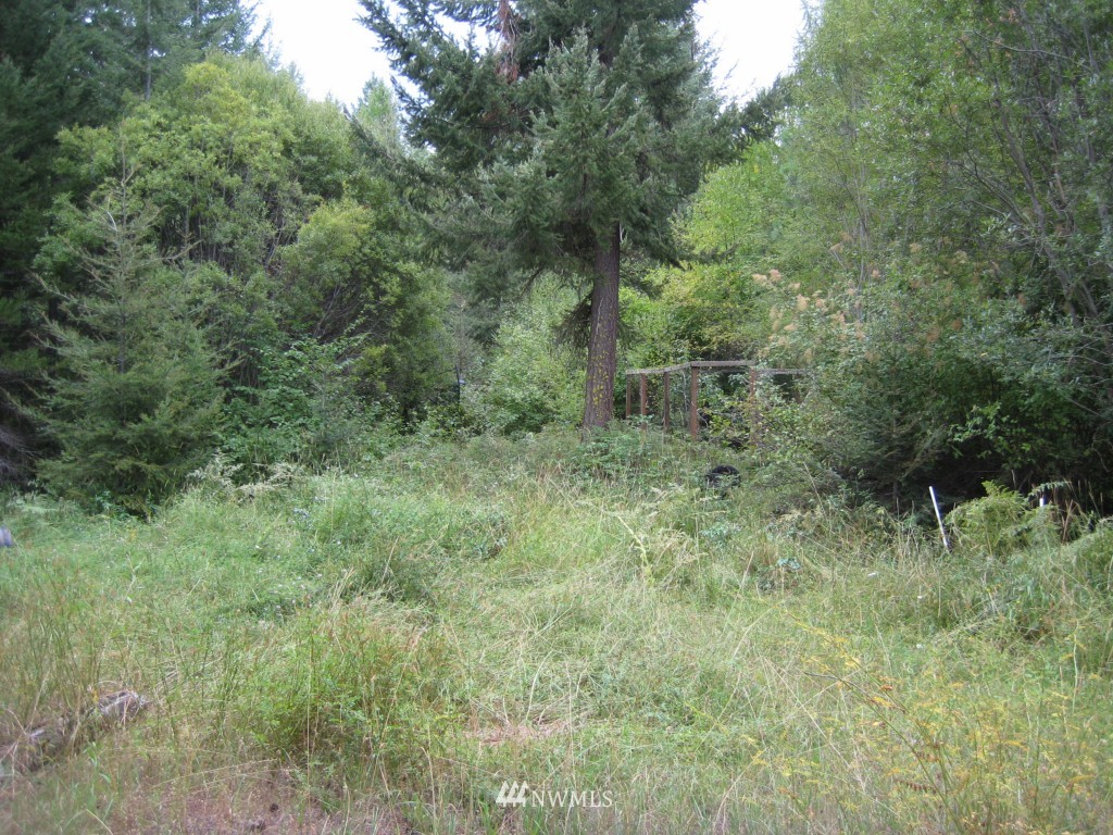 361 Tree Haven Road Cle Elum, WA 98922 - Photo 16 of 17 Gallery Image 16