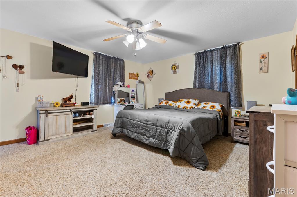 716 Springfield Road Gillespie, IL 62033 - Photo 16 of 33
