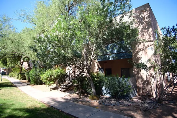 a view of a yard with plants and trees