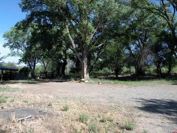 a view of empty space with trees