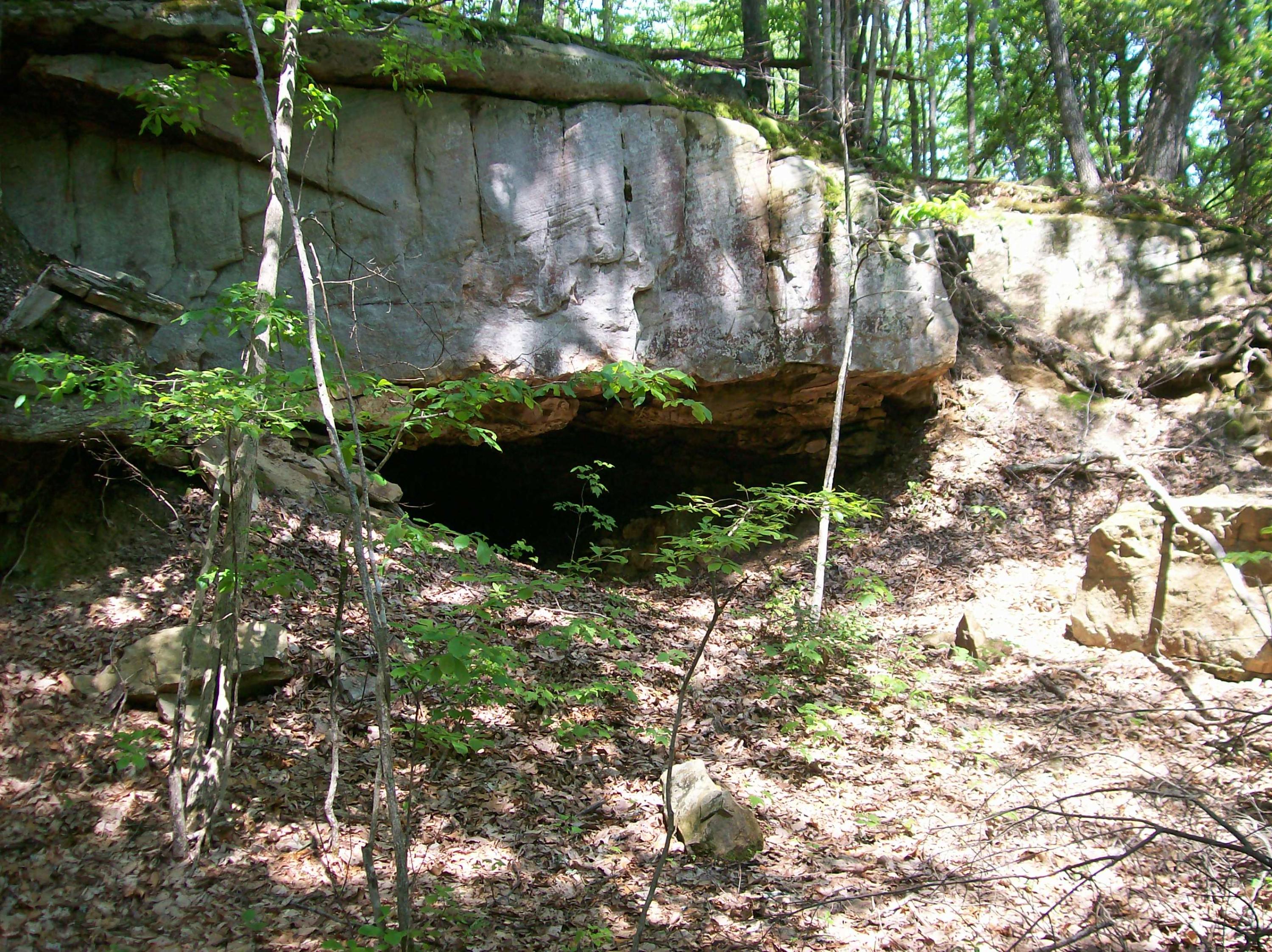 Lot 125 Harlee Vista Road Pikeville, TN 37367 - Photo 3 of 7 GP 125 (6)