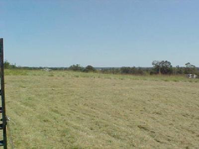 2271 Winchester Road Paris, KY 40361 - Photo 2 of 2 Photo 2