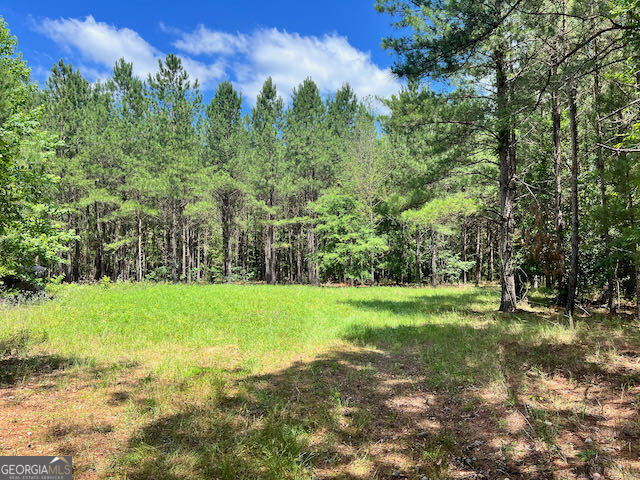 87.12-ac Salter Road Bartow, GA 31018 - Photo 1 of 1 a view of a trees with a yard