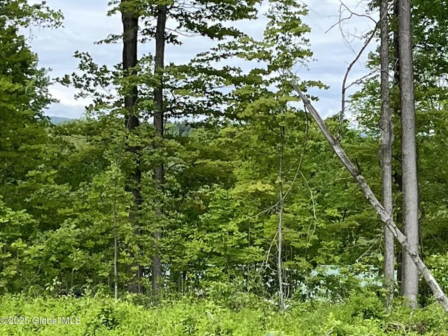 $129,000 | L4.3 Tripoli Road, Hudson Falls, NY 12839