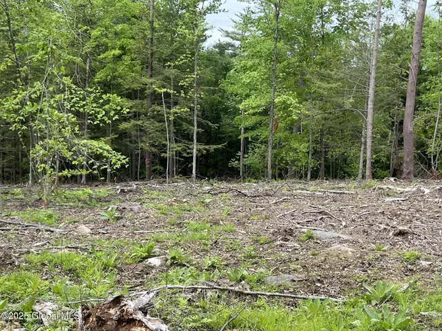 $129,000 | L4.3 Tripoli Road, Hudson Falls, NY 12839