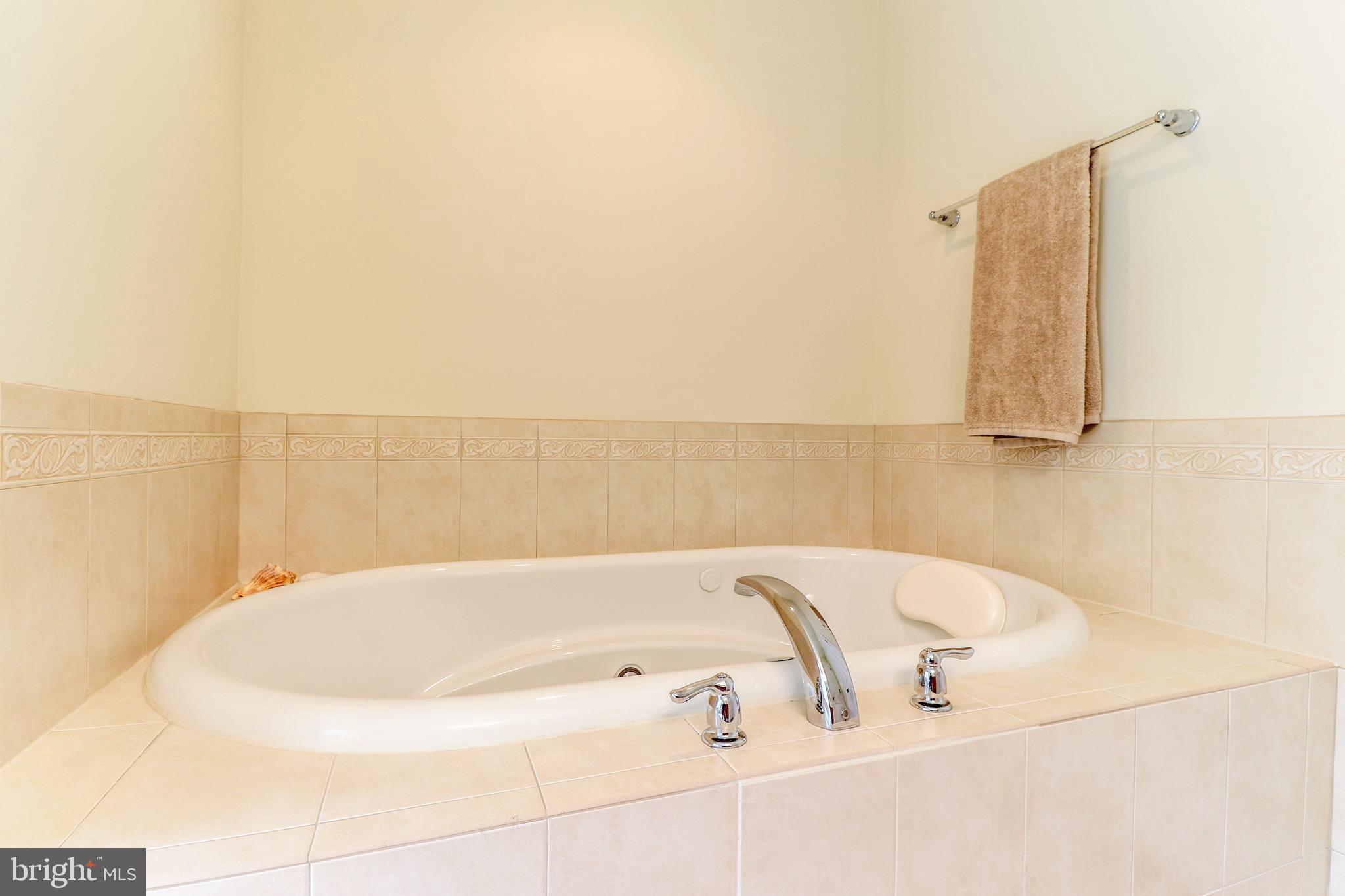 25029 Briscoe Road Hollywood, MD 20636 - Photo 25 of 45 Soak away the stress!