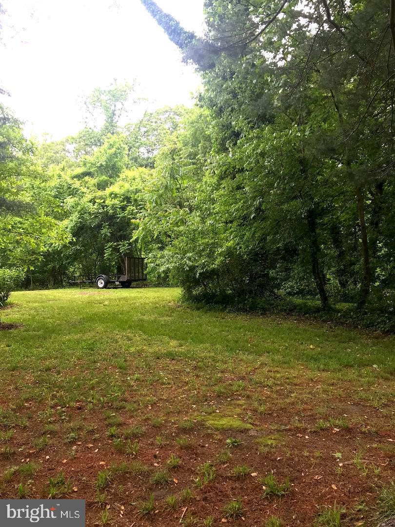 25029 Briscoe Road Hollywood, MD 20636 - Photo 35 of 45 Over 1.2 acres of Serenity!