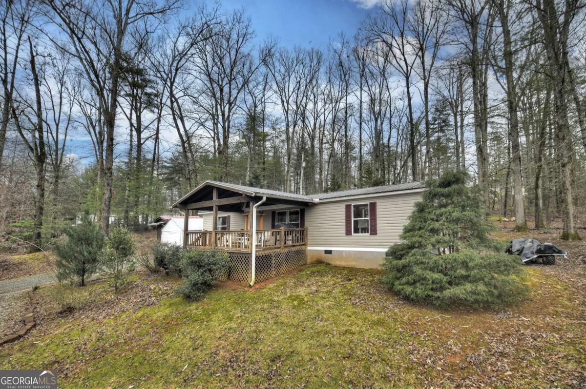 59 Christel & Nathan Lane Blue Ridge, GA 30513 - Photo 29 of 35