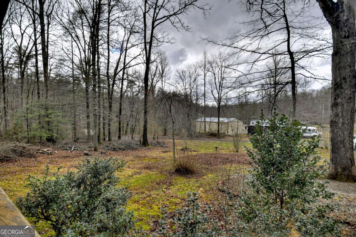 59 Christel & Nathan Lane Blue Ridge, GA 30513 - Photo 32 of 35