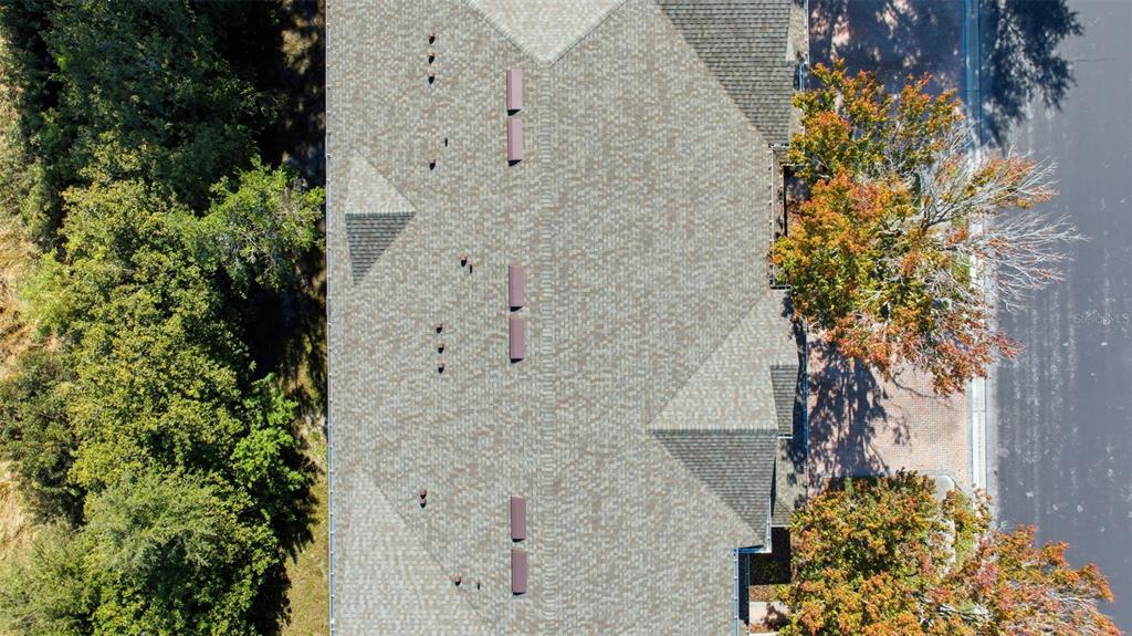 3914 Silverlake Way Wesley Chapel, FL 33544 - Photo 27 of 38 a picture of a tree