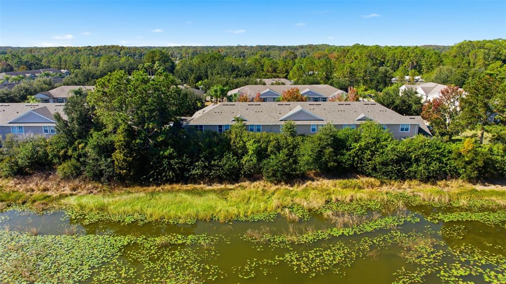 3914 Silverlake Way Wesley Chapel, FL 33544 - Photo 29 of 38 a view of an outdoor space and a yard