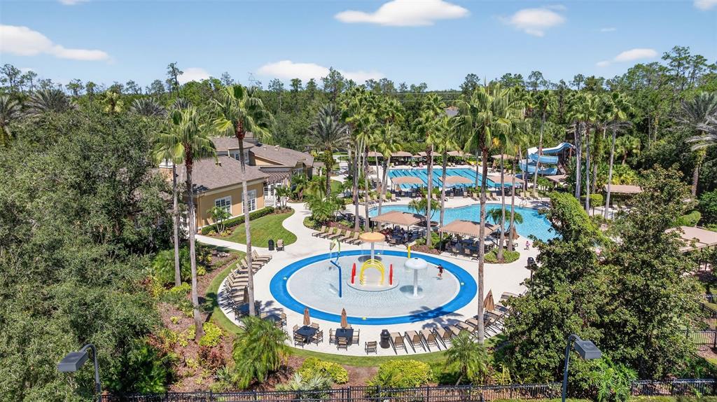 3914 Silverlake Way Wesley Chapel, FL 33544 - Photo 34 of 38 a backyard of a house with table and chairs