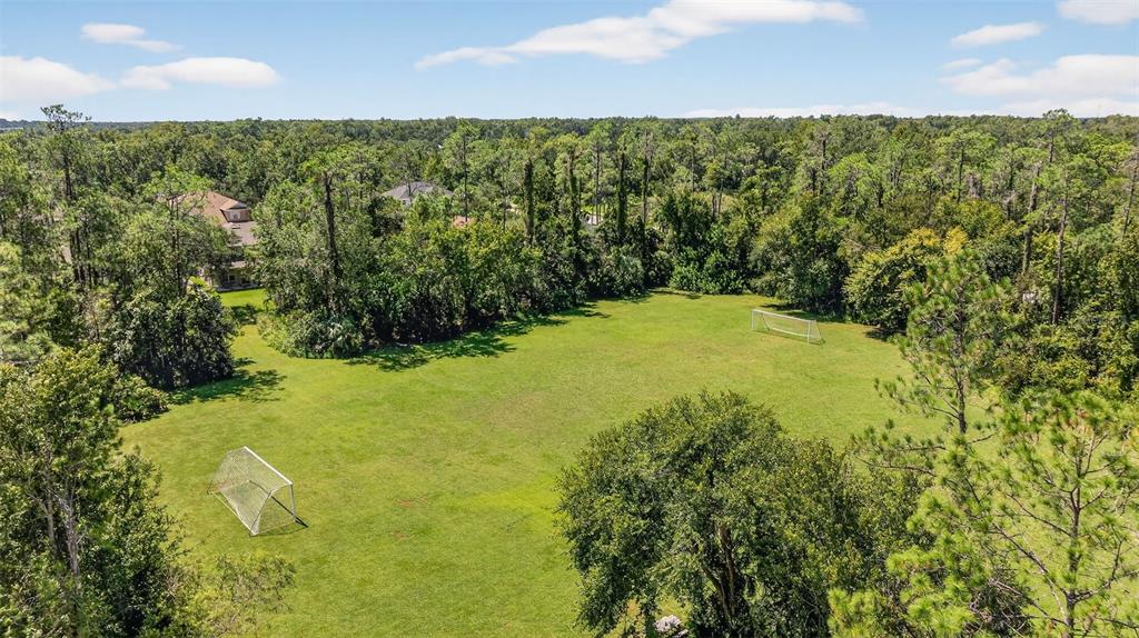 3914 Silverlake Way Wesley Chapel, FL 33544 - Photo 38 of 38 a view of a yard with an outdoor space