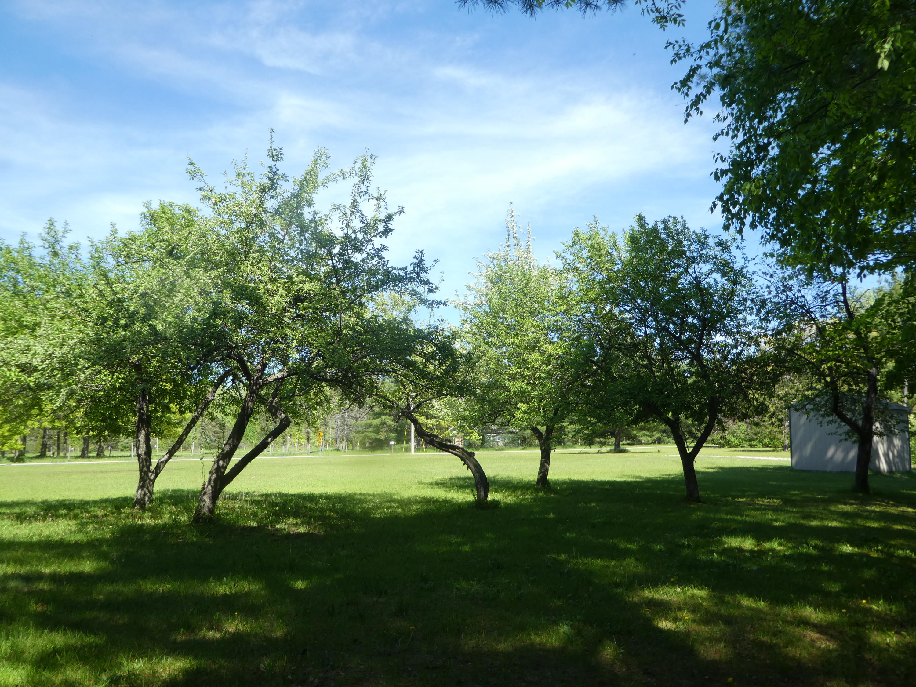 7746 Weiss Road Alpena, MI 49707 - Photo 10 of 35 Gallery Image 10