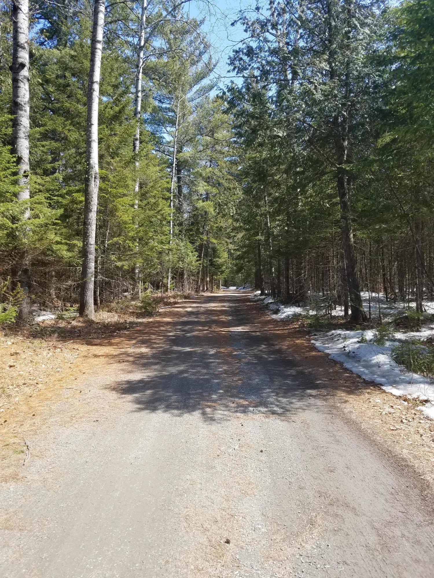 Conner Lane