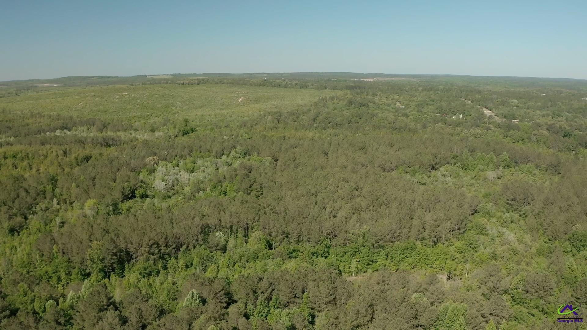 Carl Sutton Road Lizella, GA 31052 - Photo 10 of 23