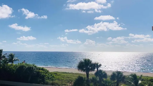 a view of a lake from a yard
