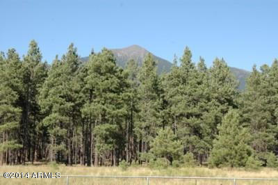9350 North Snow Bowl Ranch Road, Unit 11 Flagstaff, AZ 86001 - Photo 1 of 1 Lot 11