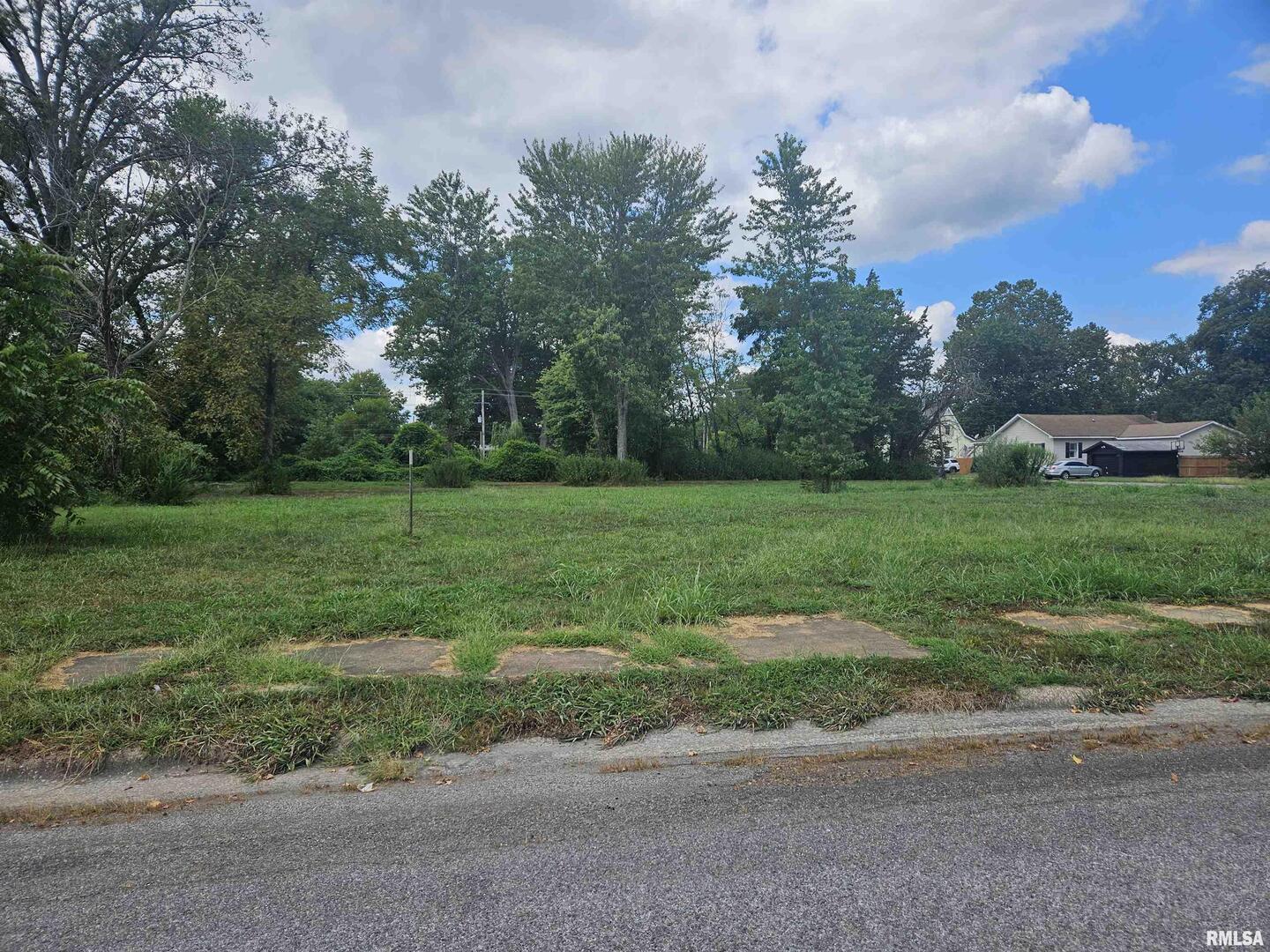 0 North Buchanan Street Benton, IL 62812 - Photo 23 of 23