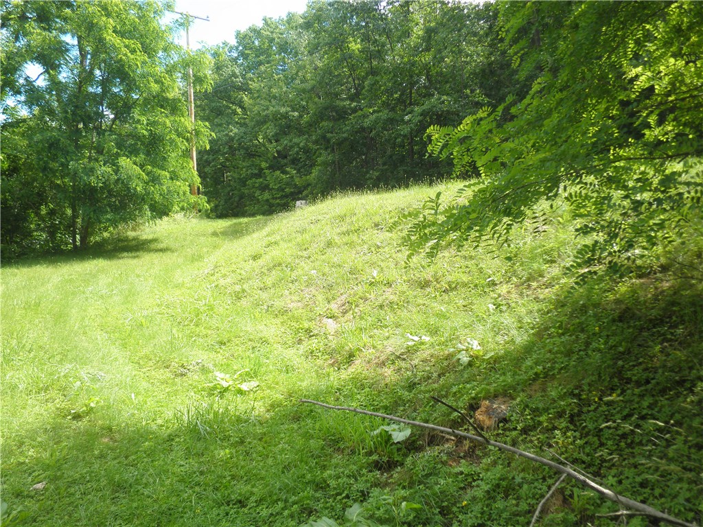 0 East Lake Road Honeoye, NY 14471 - Photo 8 of 11