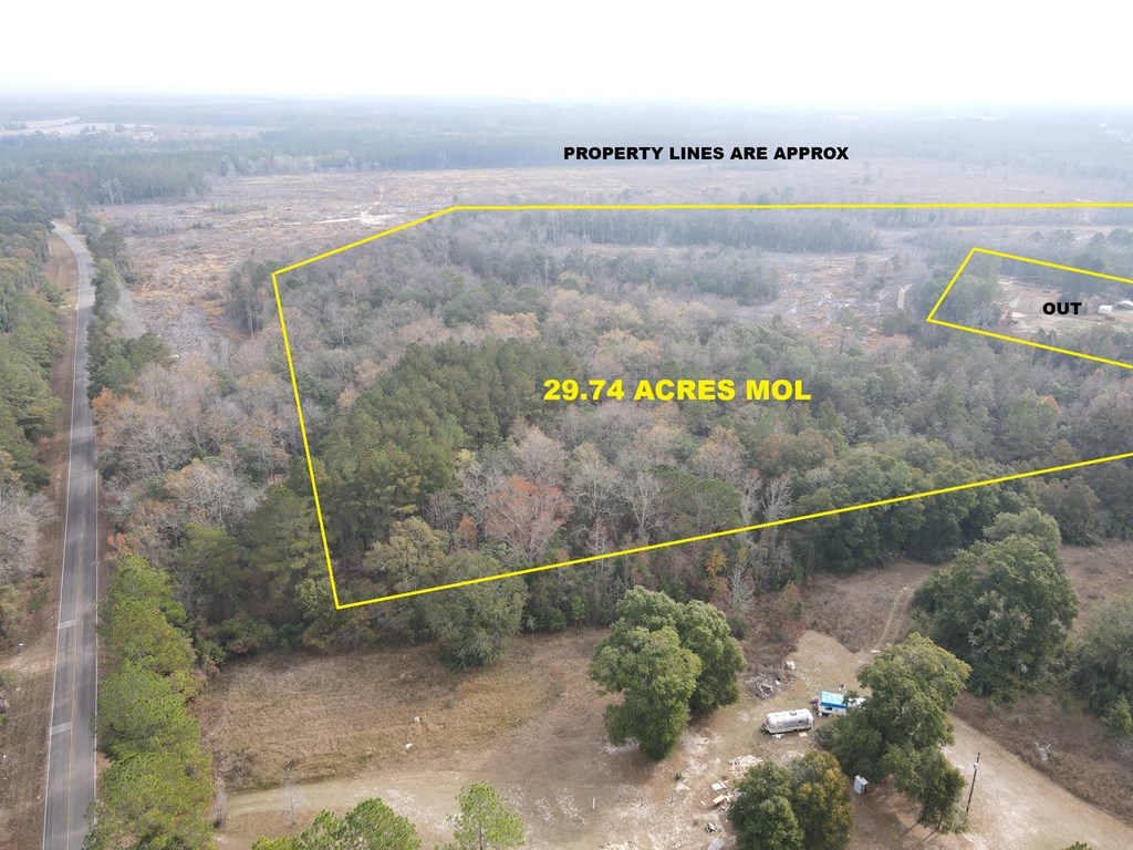 87 Highway 87 Samson, AL 36477 - Photo 7 of 47